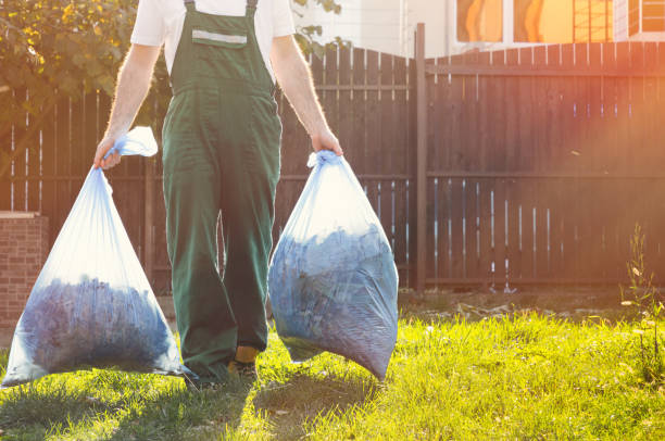 Best Electronics and E-Waste Disposal  in Avra Valley, AZ